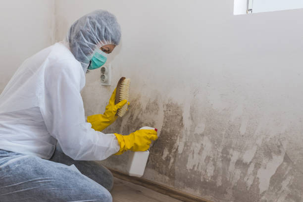 Water Damage Restoration in Capitol View, SC
