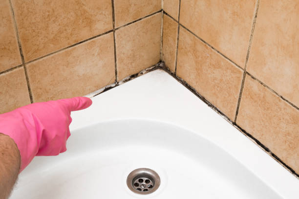 Best Mold Testing  in Capitol View, SC